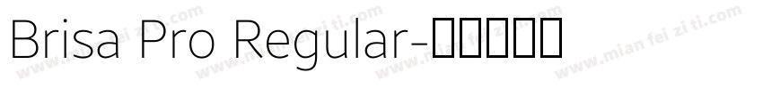 Brisa Pro Regular字体转换